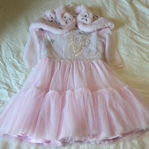 Disney Princess Dress